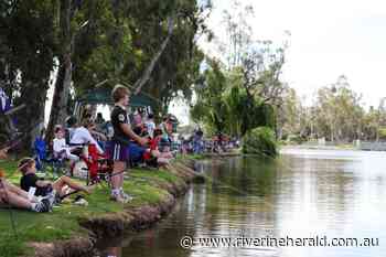 The Cohuna Carp Catch is back - Riverine Herald