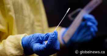 Omicron variant not yet detected in Saskatchewan; 40 people told to test, isolate