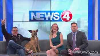 Steve-O: 'Bills fans are something special'