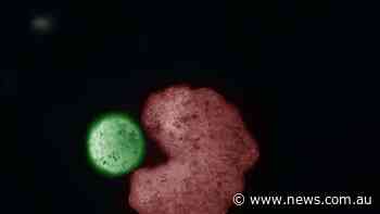 Robots can now actually reproduce