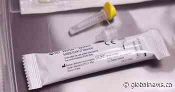 Alberta identifies 1st case of Omicron COVID-19 variant in returning traveller