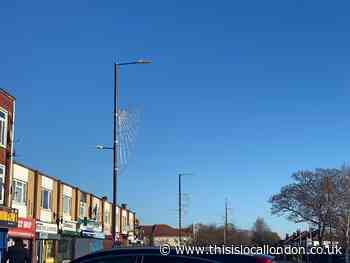 When is it too early for Christmas Lights? Kingshill Avenue discusses.