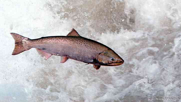 Can sperm replace plastic? China's working on it