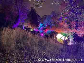 Lightopia: Is it worth the trip? - Felix Synge - Dulwich College