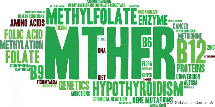 The MTHFR Gene Mutation: The Perturbing Complication on Pregnancies throughout the Nation by Sindy Elezkurtaj, Woodford County High School