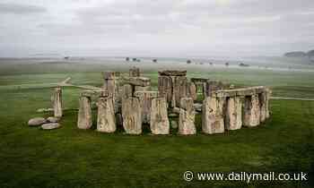 Stonehenge builders may have fuelled themselves on mince pies, evidence suggests