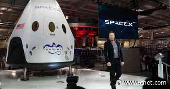 Elon Musk confirms he's worried SpaceX could go bankrupt     - CNET