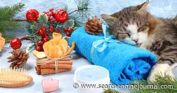 Health & Wellness Advertising Tips To Drive Holiday Sales via @sejournal, @PPCkimpossible