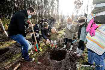 Ouders planten bijna vierhonderd nieuwe bomen in geboortebos Horendonk - Gazet van Antwerpen
