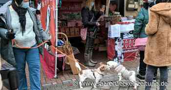 Hundweihnachtsmarkt in Neunkirchen - Saarbrücker Zeitung