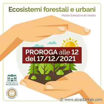 Reggio Calabria: proroga i termini di iscrizione del Master della Mediterranea per tecnico esperto in gestione sostenibile degli ecosistemi forestali ed urbani - Stretto web