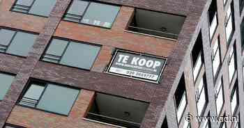 Brussel wil nog dit jaar de vele duizenden brievenbusfirma's in Nederland aanpakken - AD.nl