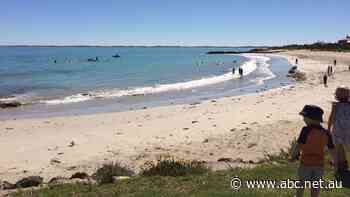 Popular coastal destination hit by COVID scare just one week after SA border reopens