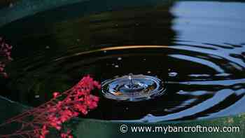 Mew Lake Campground lifts boil water advisory - mybancroftnow.com