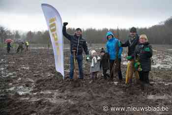 Winsol plant twee hectare bos aan