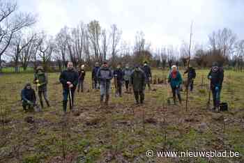 Vrijwilligers trotseren bar winterweer om 4.000 boompjes van toekomstig bos aan te planten