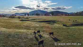 Mountain bike tracks and a wilderness retreat among the ideas floated to lure tourists to Towong