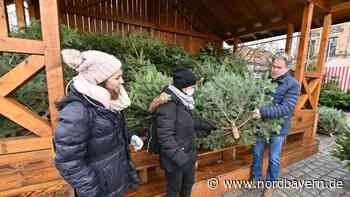 Nach Aus der Waldweihnacht in Erlangen: Organisatoren verteilen Weihnachtsbäume an Bedürftige - Nordbayern.de
