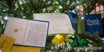 White House unveils holiday decorations: See the pictures