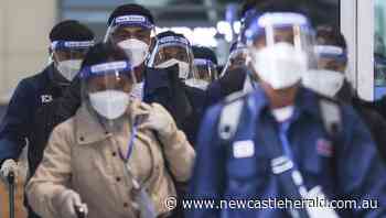 S.Korea reports record COVID infections - Newcastle Herald