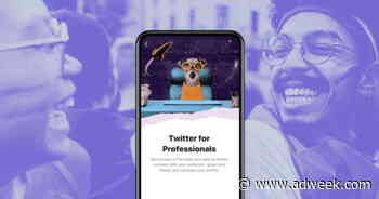 Twitter for Professionals: How to Hide Your Business Category