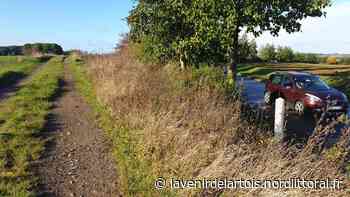 Près d'Arras, « la présence d'un félin n'est pas confirmée » d'après la préfecture (vidéos) - Nord Littoral