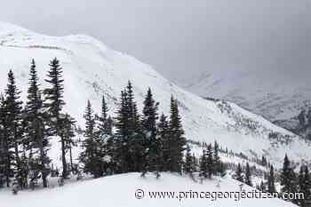 Fatal avalanche in Hasler riding, east of Mackenzie - Prince George Citizen