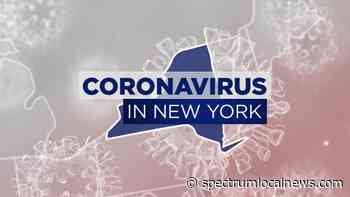 November's coronavirus death toll in Albany Co. climbs - Spectrum News