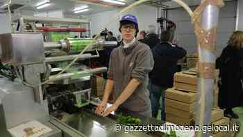 La cooperazione sociale vola: crescita doppia nel decennio - Gazzetta di Modena