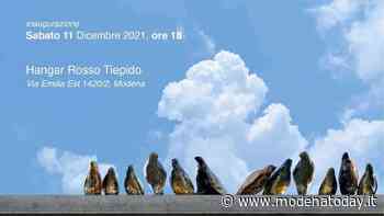 "Un giorno per nascere", inaugura a Modena la mostra di Andrea Capucci - ModenaToday