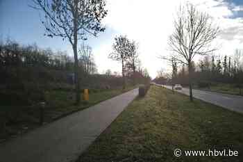 Omleiding voor fietsers op N754 en N79 in Borgloon - Het Belang van Limburg