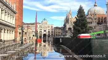 Acqua alta a Venezia e l'albero di Piazza San Marco si bagna - La Voce di Venezia