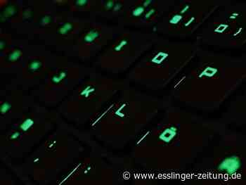 Online - Corona beflügelt Internetnutzung - esslinger-zeitung.de