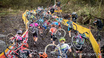 Jaarmarktcross in Niel krijgt extra vleugje spektakel - Sport.be