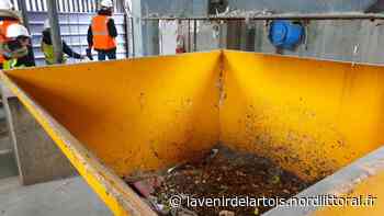 Arras : le Smav a un projet de chaufferie alimentée par nos déchets - Nord Littoral