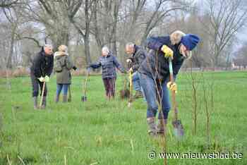 Vallei van de Poekebeek telt 1.600 extra bomen (Aalter) - Het Nieuwsblad
