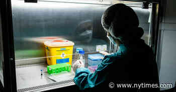 Trust in Science and Scientists Increased Globally, Poll Finds