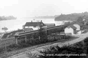 LOOKING BACK: 141 years ago Haney suffered a great landslide – Maple Ridge News - Maple Ridge News