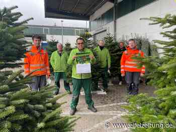 Gutes tun in der Vorweihnachtszeit: Caritas Werkstätten Cochem starten „WeihnAHRtsbaumverkauf“ - EMZ Eifel-Mosel-Zeitung - Eifel Zeitung