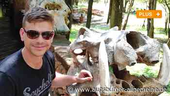 Omikron-Variante: Augsburger erlebt Strapazen bei Südafrika-Rückkehr