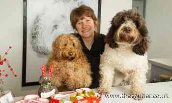 Meet the Angus woman whose business is booming thanks to dog grooming - The Courier