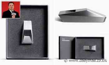 Tesla launches a bizarre £38 'Cyberwhistle'