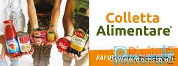 25ª Giornata Nazionale della Colletta Alimentare - Diocesi di Sora Cassino Aquino Pontecorvo