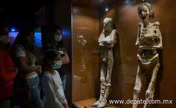 ¿Cuánto cuesta la entrada al museo de las momias en Guanajuato? - Debate