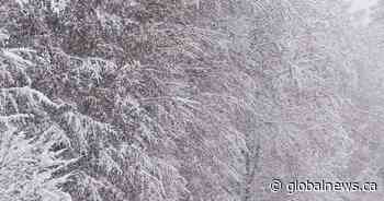 Section of Highway 93 to be closed for days between Jasper and Banff over winter storm concerns - Globalnews.ca