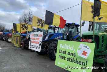 Brechtse tractoren op weg naar grote boerenbetoging in Geel: “Heel bang voor toekomst”