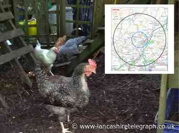 Clitheroe declared 'temporary control zone' afterprm strain of bird flu confirmed