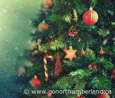 COMMUNITY SPOTLIGHT: Colborne Public School music program to benefit from annual 'Festival of Trees' - 93.3 myFM