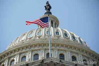 One half of young Americans in new poll say democracy in US is 'in trouble' or has 'failed'