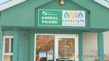 Saskatoon SPCA asks city for new funding structure to stay open
